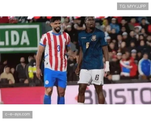 南美洲顶级联赛豪门激战正酣，赛季表现惊艳引关注