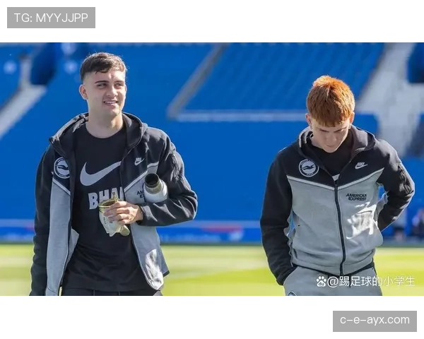 布莱顿积极运作转会窗口，引援动作频频展现雄心