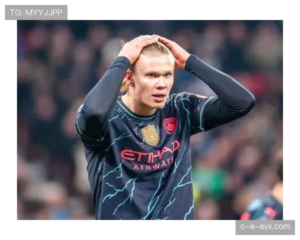 哈兰德能力上限争议：全能属性与纯终结者结构差异在哪？